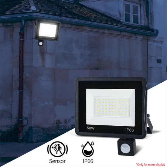 10W 20W 30W 50W 100W éclairage LED 220V 240V étanche PIR capteur de mouvement projecteur extérieur applique projecteur