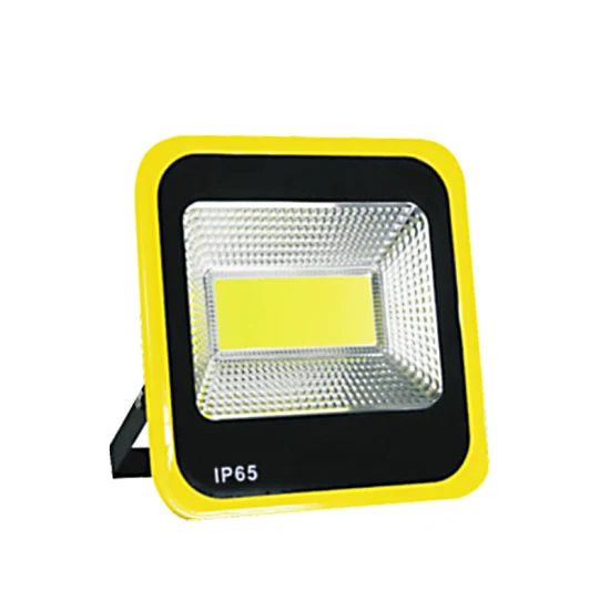Projecteur LED de sécurité extérieur 100 W à lumen élevé